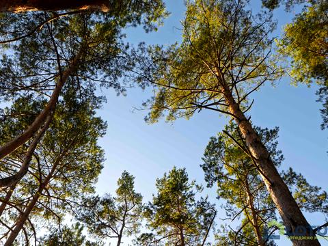 дом по адресу Ярослава Мудрого