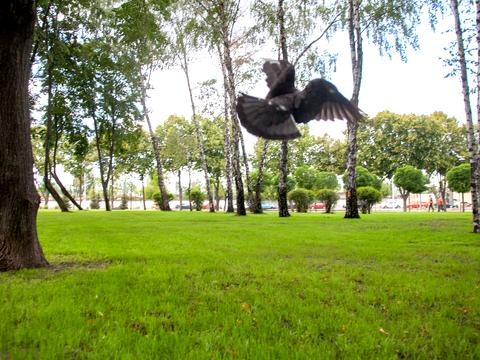 квартира за адресою Салютна вул., (Будинок 05001-05002)