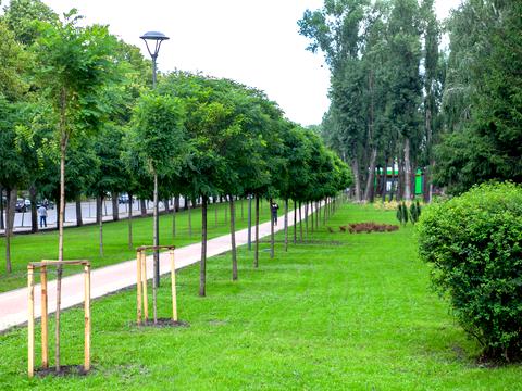 квартира за адресою Салютна вул., (Будинок 05001-05002)