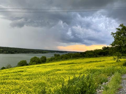 участок по адресу 