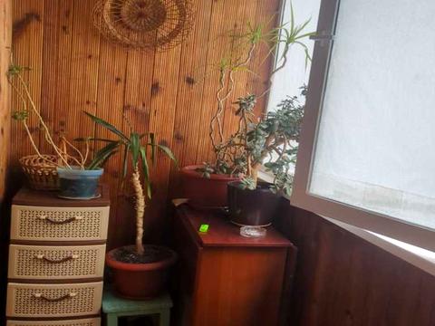 квартира за адресою Богдана Хмельницького бульв., 17