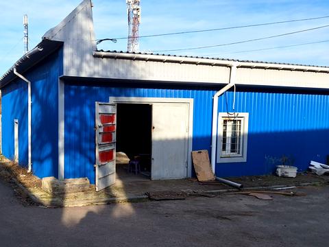 комерційна за адресою Миротворча вул. (Толстого), 12