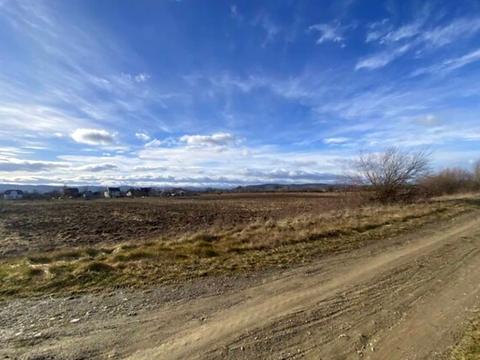 ділянка за адресою Болехів, Польова