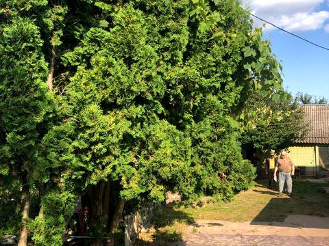 будинок за адресою Івана Франка вул. (Калініна)