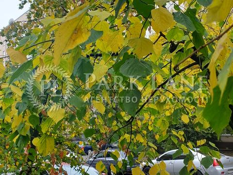 квартира за адресою Річкова вул., 4