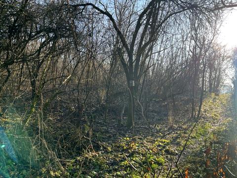 ділянка за адресою Львів, Замарстинівська вул. (Калініна), 270-А