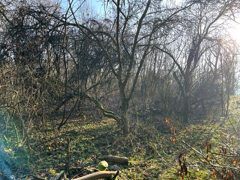 ділянка за адресою Львів, Замарстинівська вул. (Калініна), 270-А