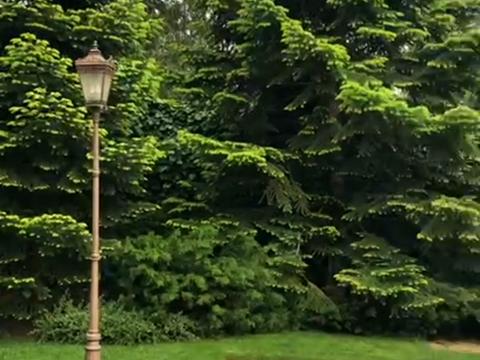 будинок за адресою Фонтанська дорога вул. (Перекопской дивизии улица), 264