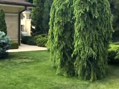 будинок за адресою Фонтанська дорога вул. (Перекопской дивизии улица), 264