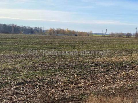 ділянка за адресою с. Підгірці, 