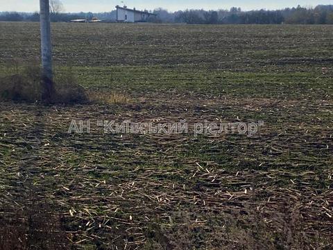 ділянка за адресою с. Підгірці, 