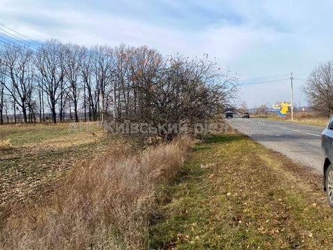 ділянка за адресою с. Підгірці, 