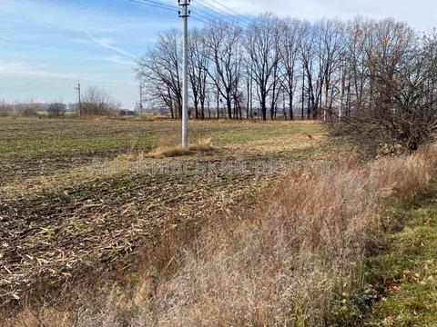 ділянка за адресою с. Підгірці, 