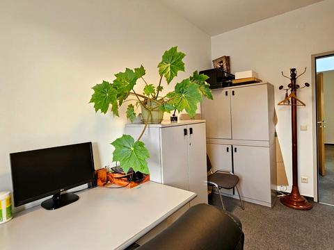 комерційна за адресою Велика Васильківська вул. (Червоноармійська), 9-2