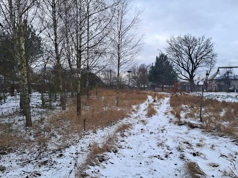 ділянка за адресою с. Іванівка, лісова, 23а