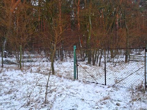 ділянка за адресою с. Іванівка, лісова, 23а