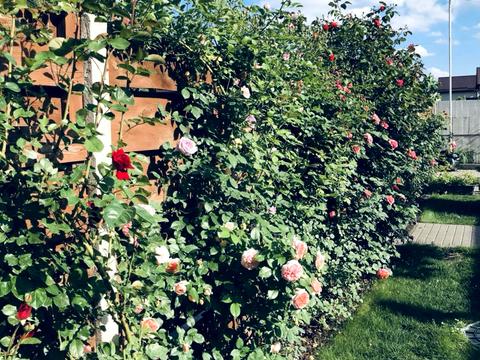 дом по адресу Фізкультурна ул.