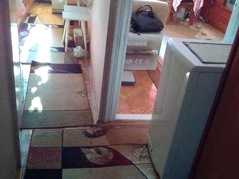 квартира за адресою Каунаська вул., 10-А