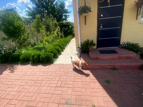 дом по адресу Молодіжна