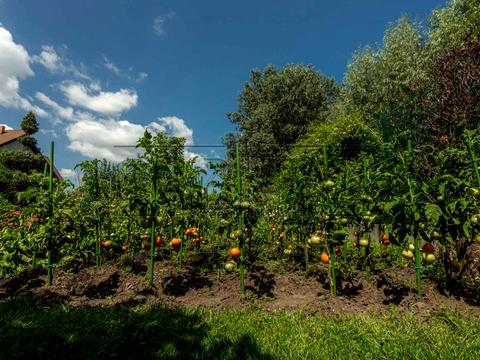 дом по адресу Центральная
