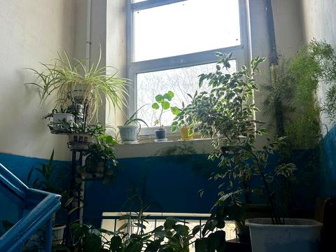 квартира по адресу Степана Бандеры ул., 6