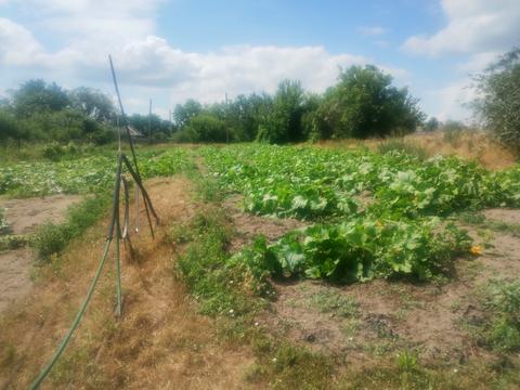 ділянка за адресою с. Вергуни, 