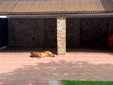 будинок за адресою Бродівська вул.