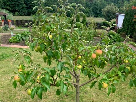 будинок за адресою Бродівська вул.