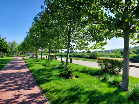 квартира за адресою Ольги Кобилянської вул. (Достоєвського), 1-В/1