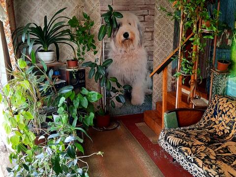 будинок за адресою 15-та лінія вул.