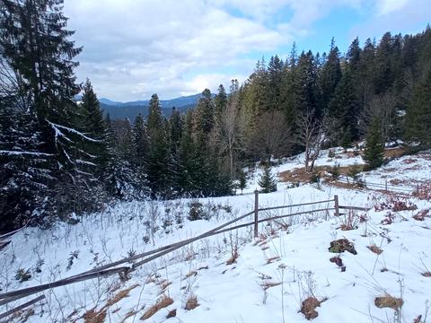 участок по адресу 