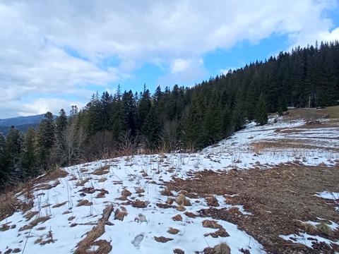 участок по адресу 