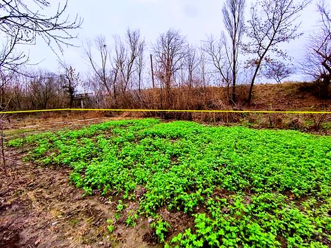 ділянка за адресою Героїв України