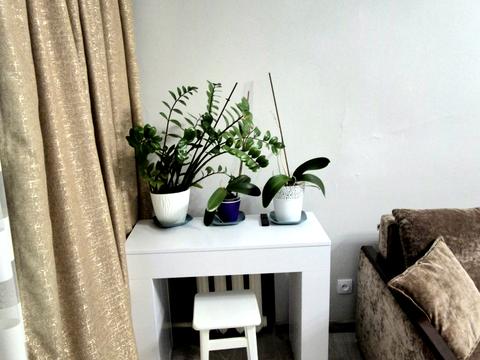 квартира за адресою Широка вул., 81