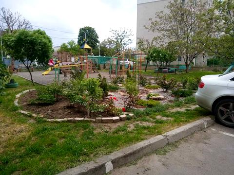 квартира за адресою Сергія Шелухіна вул. (Олександра Невського), 35