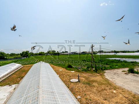 комерційна за адресою с. Русанів, Жовтнева, 5