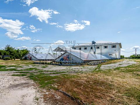 комерційна за адресою с. Русанів, Жовтнева, 5