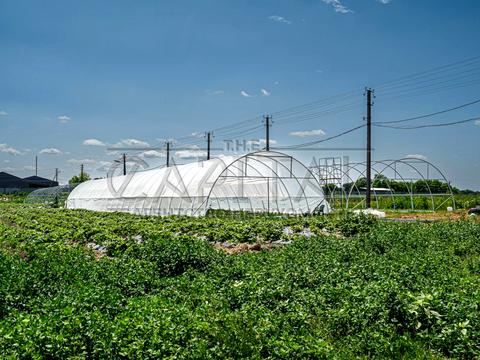 комерційна за адресою с. Русанів, Жовтнева, 5