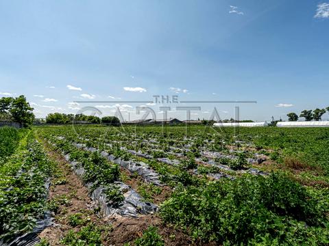 комерційна за адресою с. Русанів, Жовтнева, 5