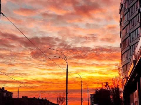 квартира за адресою Київ, Миколи Міхновського бульв. (Дружби народів), 13-А