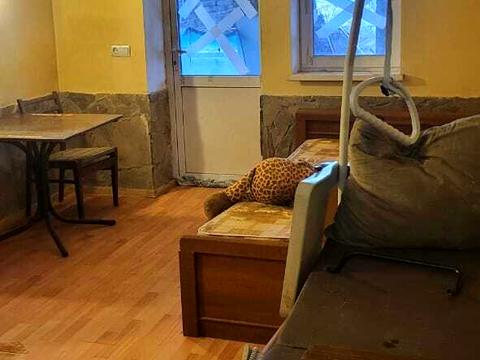 будинок за адресою Хутоярівський пров.