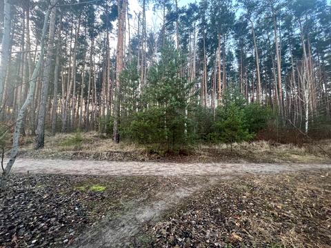 ділянка за адресою незалежності