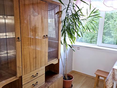 комната по адресу Миру просп., 62