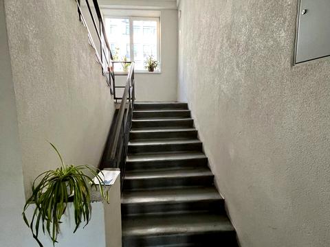 комерційна за адресою Зелена вул., 206