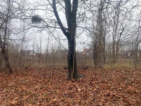 ділянка за адресою Молодіжна, 18