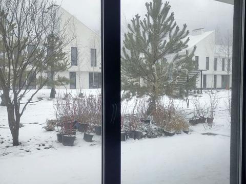 будинок за адресою Світанкова вул.