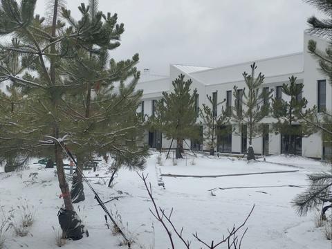 будинок за адресою Світанкова вул.