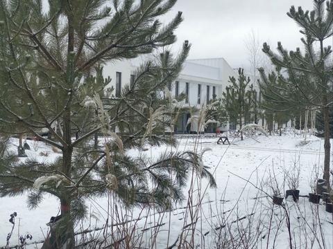 будинок за адресою Світанкова вул.