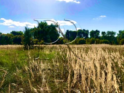 ділянка за адресою с. Лютіж, Польова вулиця