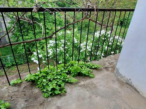 будинок за адресою кооп Заря, 10